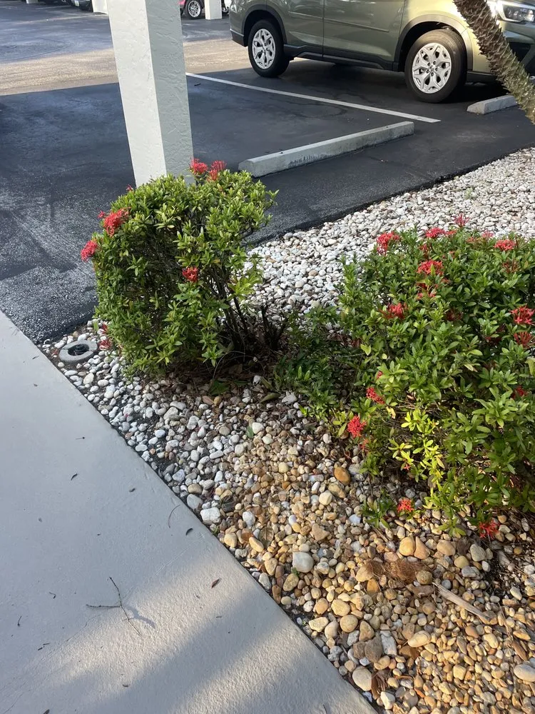 Affordable lawn care service in North Fort Myers, FL by Tower Strong Services