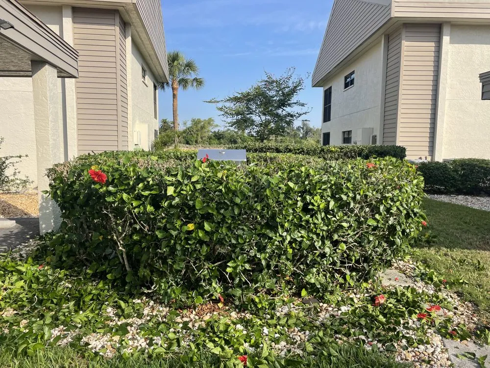 Custom residential landscaping for year-round maintenance across North Fort Myers, FL - Tower Strong Services