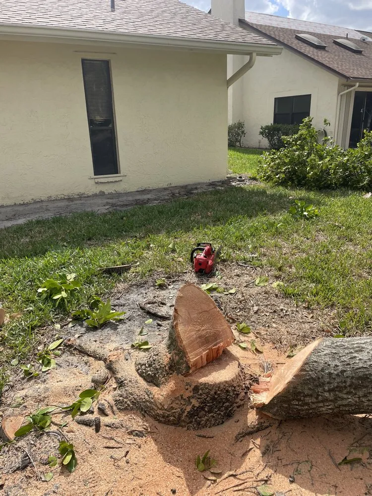 Top-rated garden landscaping in North Fort Myers, FL - Tower Strong Services