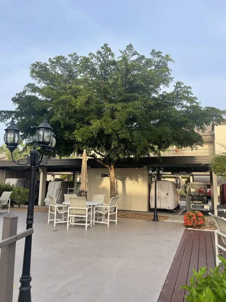 Expert yard maintenance in North Fort Myers, FL - Tower Strong Services