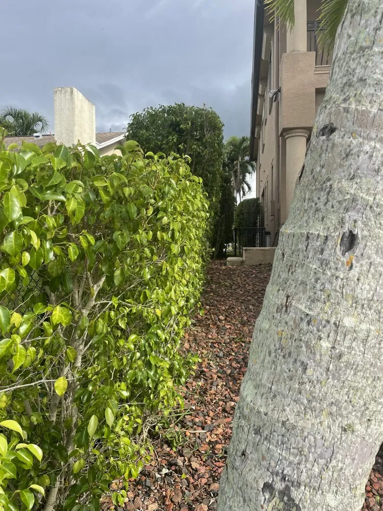 Affordable yard cleanup service near you across North Fort Myers, FL - Tower Strong Services