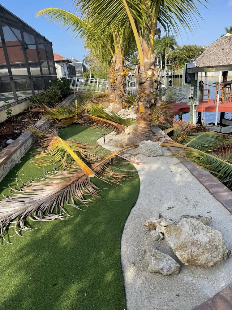 Reliable lawn care service in North Fort Myers, FL - Tower Strong Services