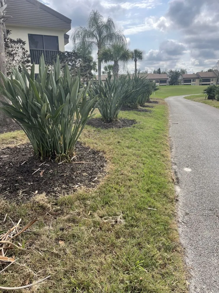 Custom lawn care service experts serving North Fort Myers, FL - Tower Strong Services