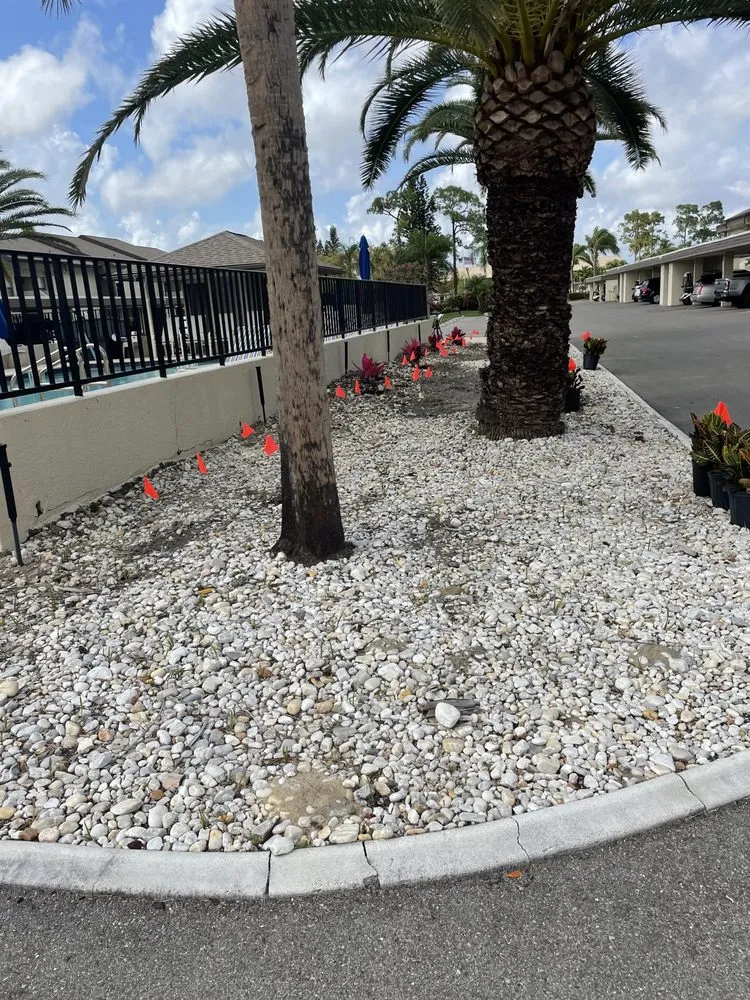 Expert lawn care service near you in North Fort Myers, FL by Tower Strong Services