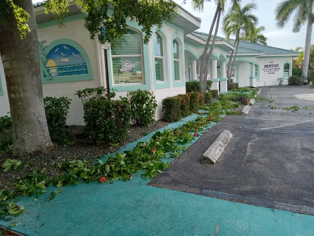 Trusted landscape installation experts serving North Fort Myers, FL - Tower Strong Services