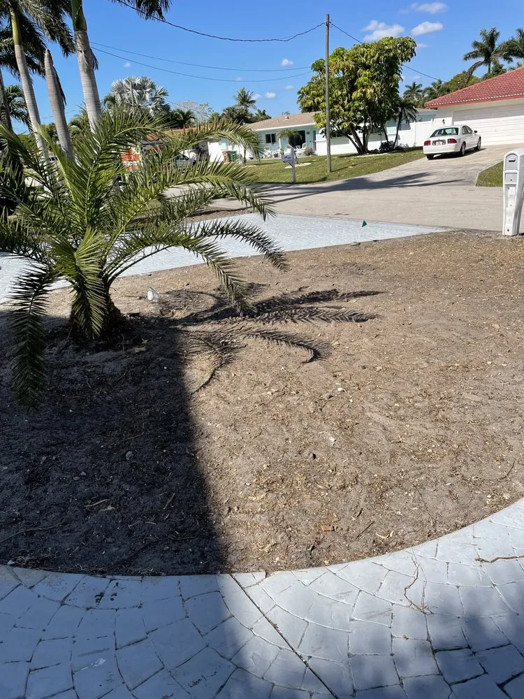 Professional outdoor landscaping in North Fort Myers, FL by Tower Strong Services