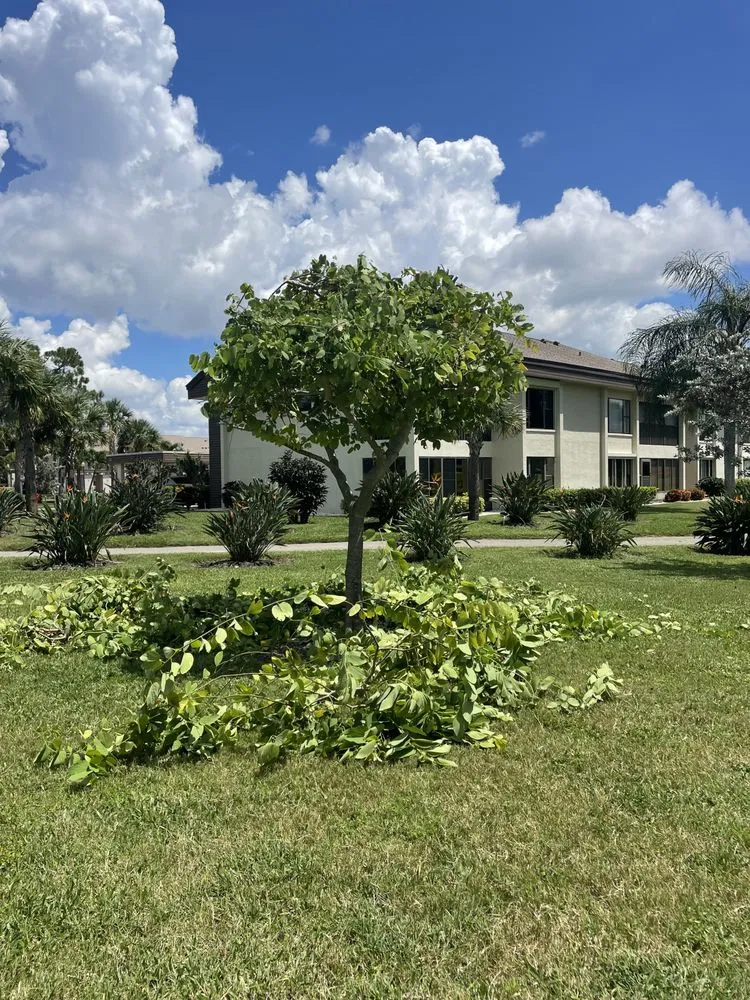 Custom yard cleanup service for outdoor upgrades in North Fort Myers, FL by Tower Strong Services
