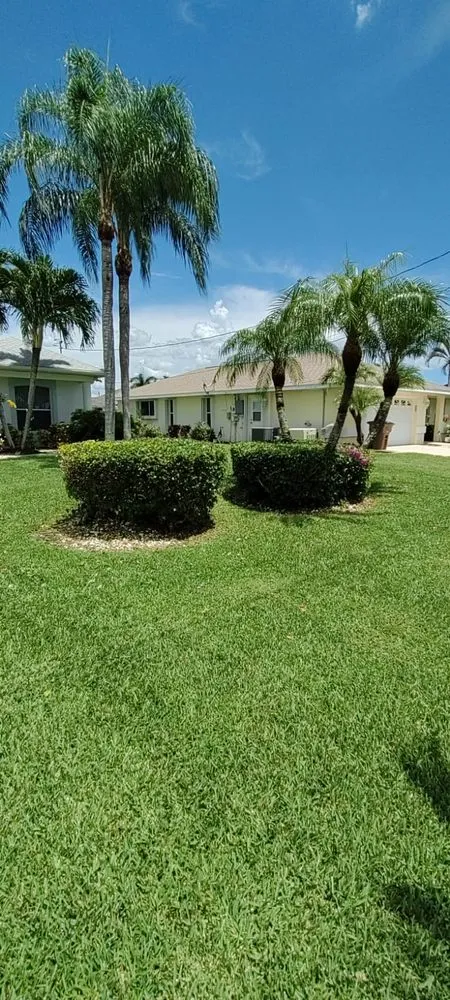 Expert landscape design for beautiful yards across North Fort Myers, FL - Tower Strong Services