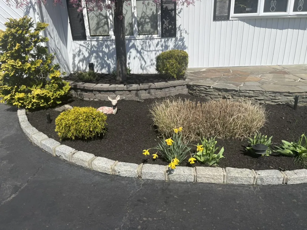 Reliable yard cleanup service in Deer Park, NY - Towers Turf