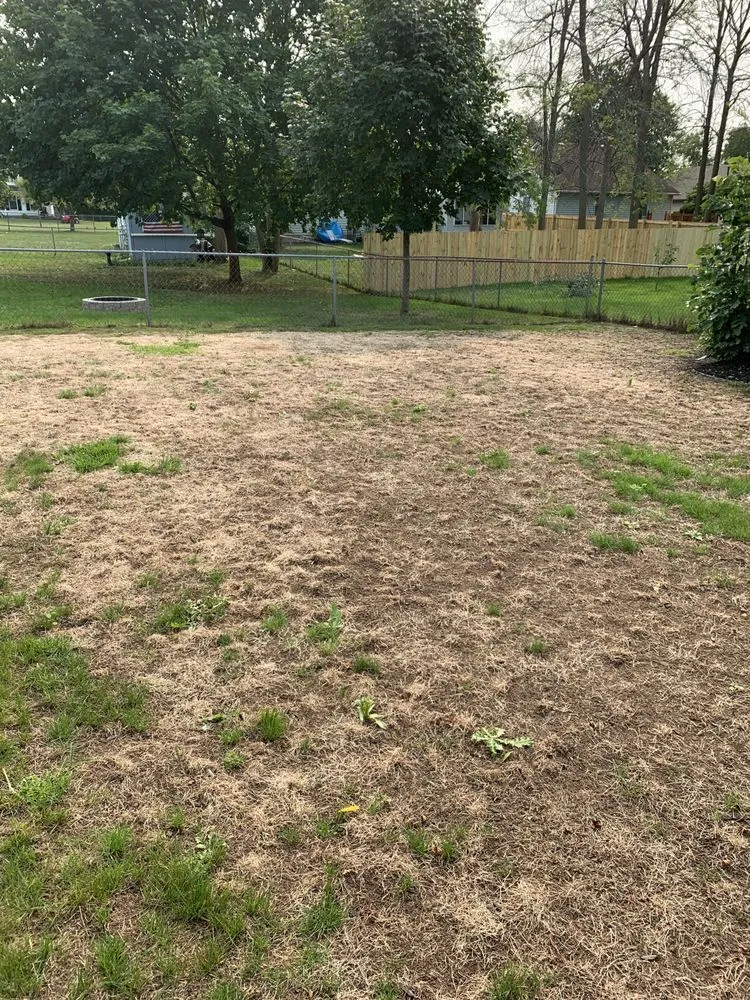 Expert yard cleanup service for year-round maintenance across Penfield, NY - Town & Country Enterprises