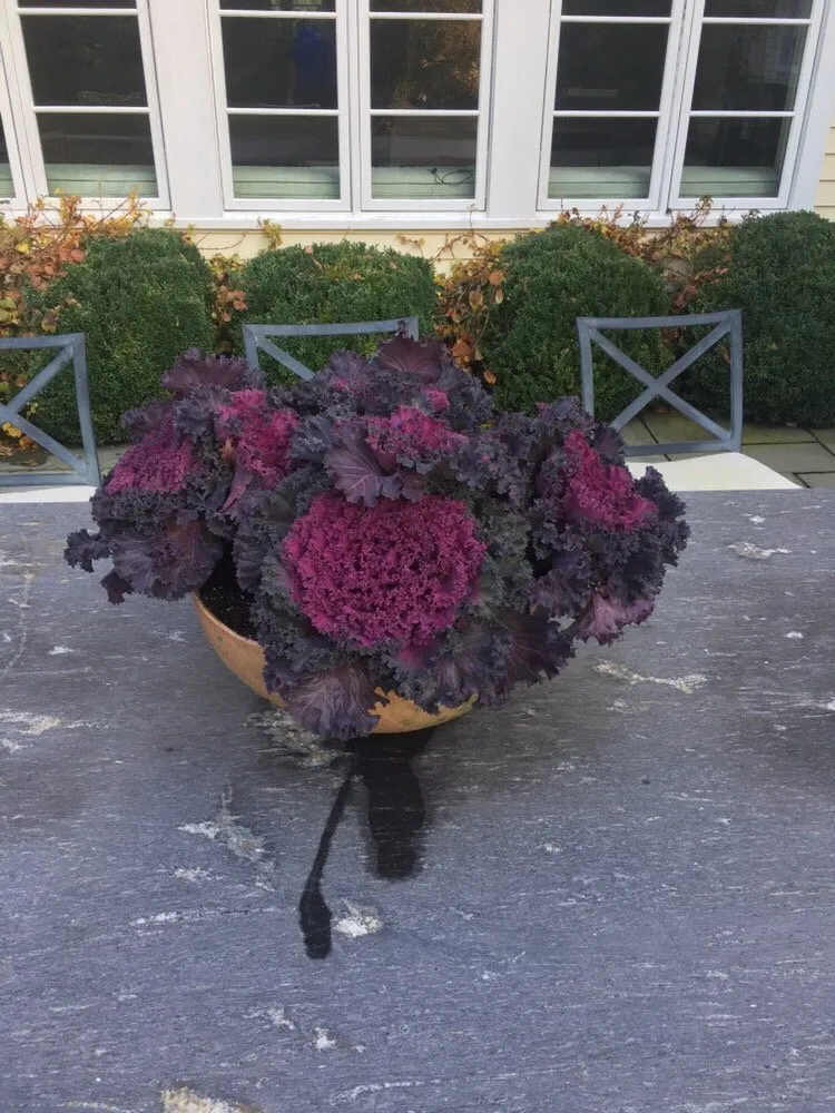 Custom yard maintenance for residential properties in Greenwich, CT by Town & Country Landscape Management