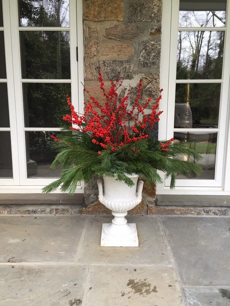 Trusted lawn care service experts serving Greenwich, CT - Town & Country Landscape Management