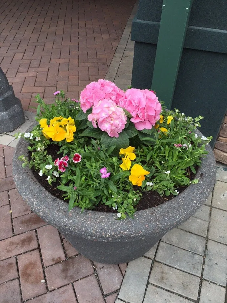 Expert landscape installation experts serving Greenwich, CT - Town & Country Landscape Management