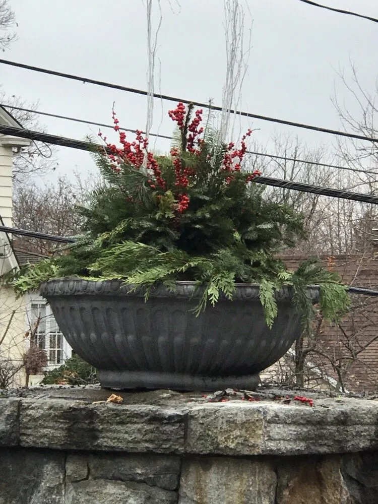 Top-rated yard cleanup service experts serving Greenwich, CT - Town & Country Landscape Management