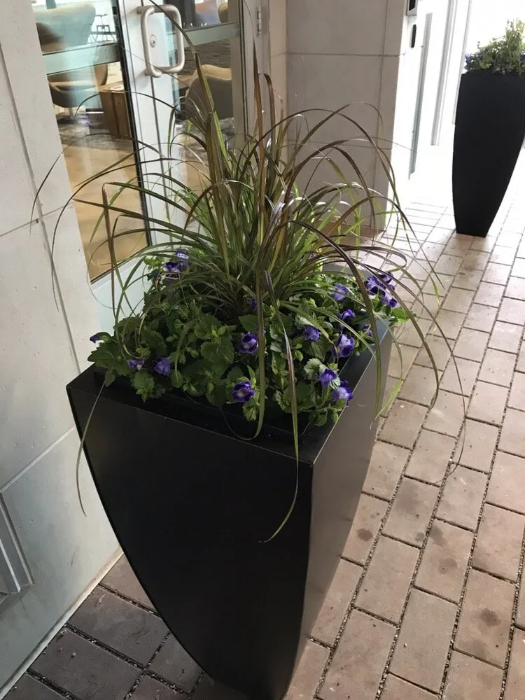 Custom landscaping services in Greenwich, CT by Town & Country Landscape Management