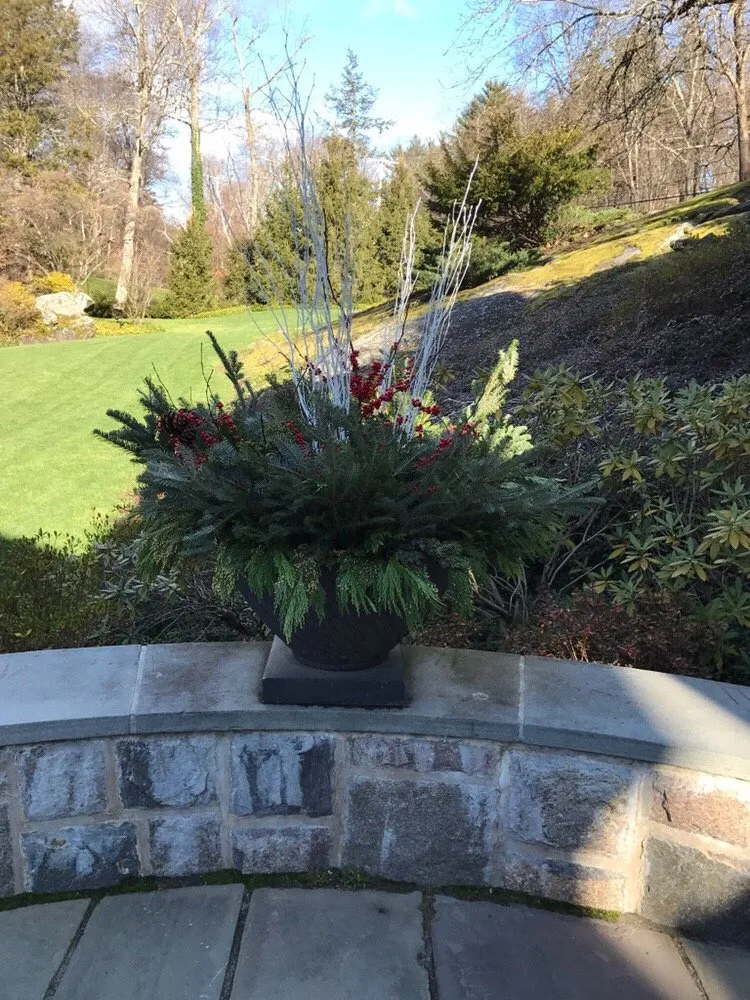 Trusted yard cleanup service in Greenwich, CT by Town & Country Landscape Management