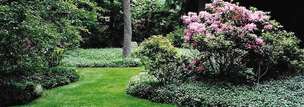 Reliable landscape installation in New City, NY - Town & Country Landscape