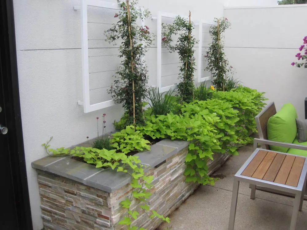 Trusted yard maintenance near you across Littleton, CO - Town & Country Landscaping