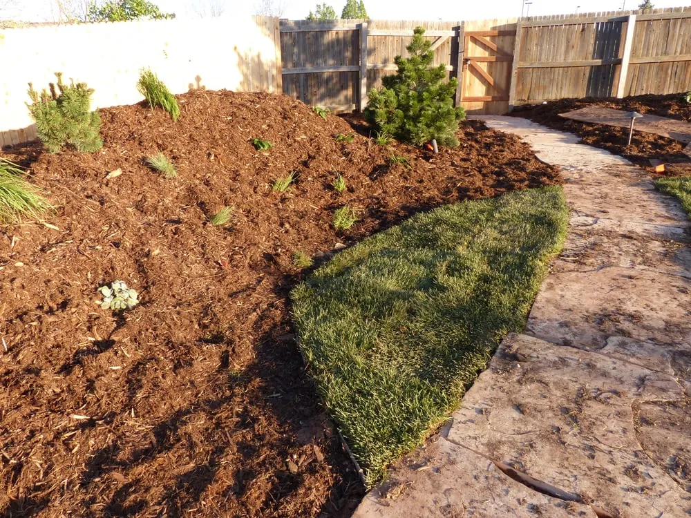 Top-rated yard maintenance for beautiful yards across Littleton, CO - Town & Country Landscaping