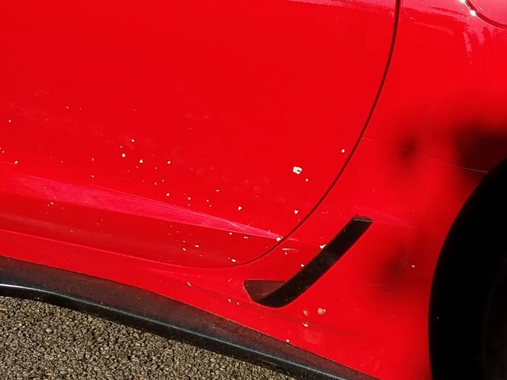 Affordable yard maintenance in Lorton, VA by Town & Country Landscaping