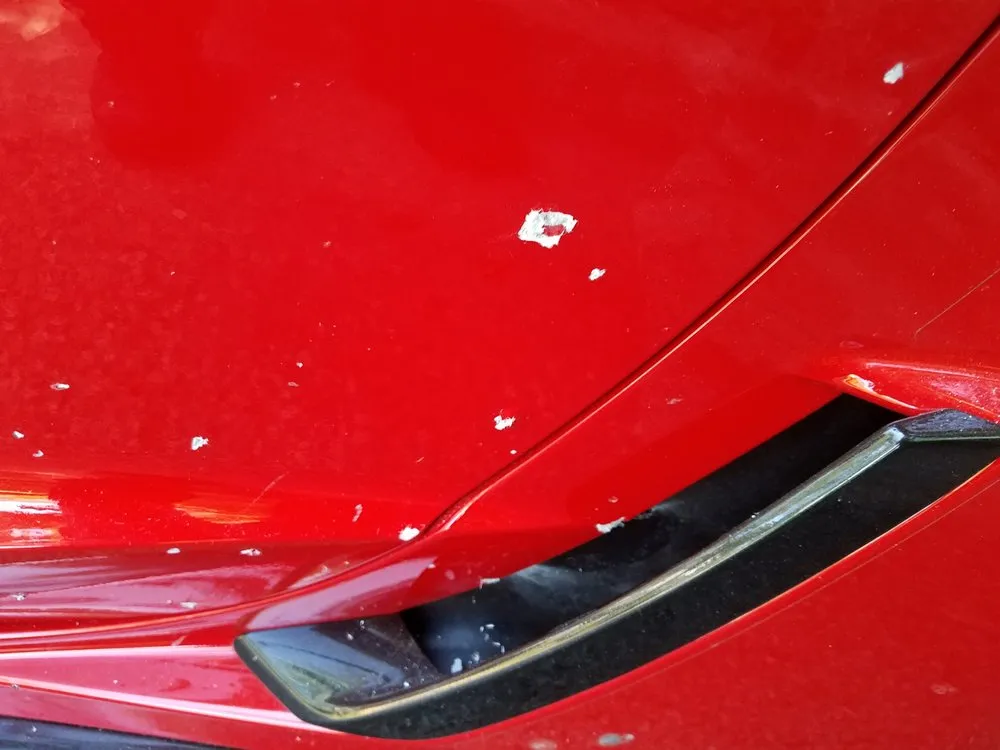 Reliable yard cleanup service experts serving Lorton, VA - Town & Country Landscaping