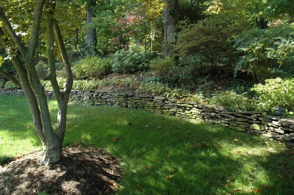 Custom yard cleanup service near you in Lorton, VA by Town & Country Landscaping