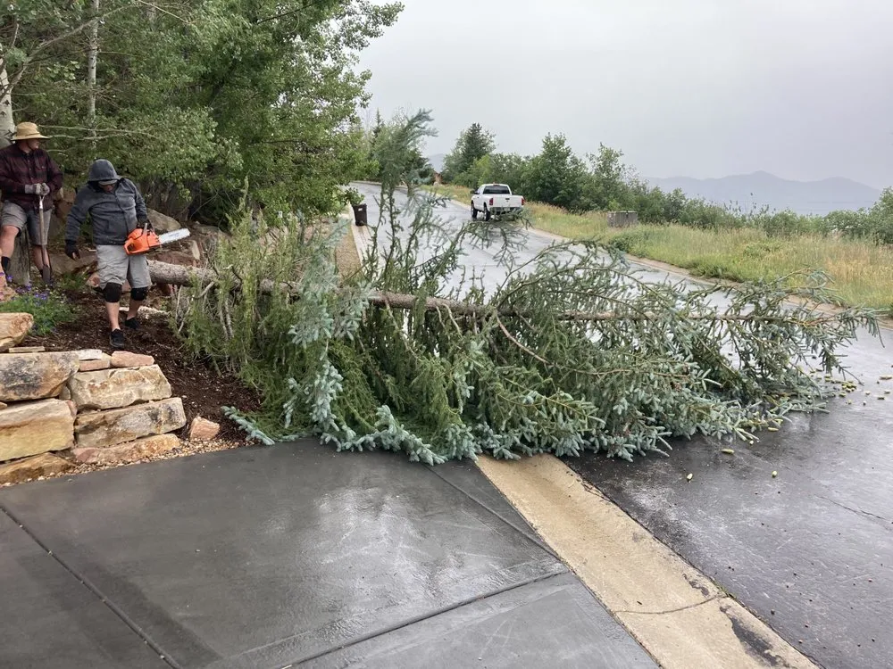 Local lawn care service experts serving Heber City, UT - Town & Country Lawn & Landscape