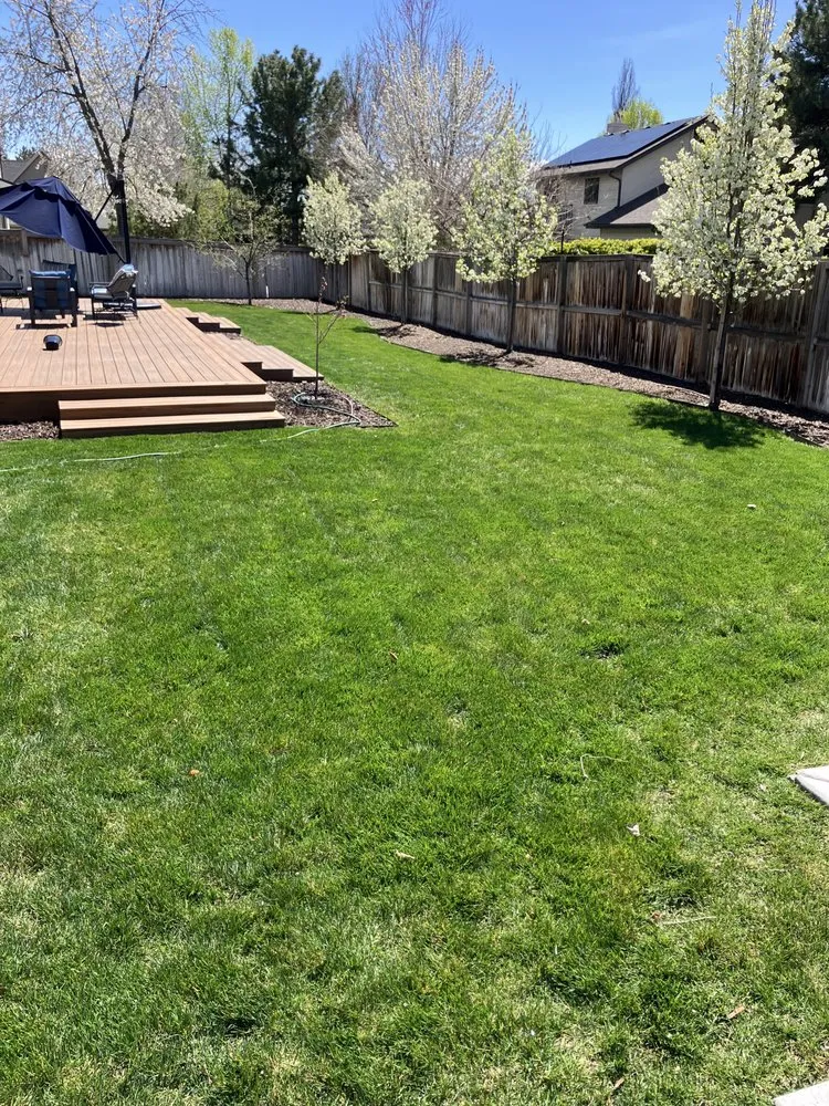 Trusted yard cleanup service for beautiful yards across Heber City, UT - Town & Country Lawn & Landscape