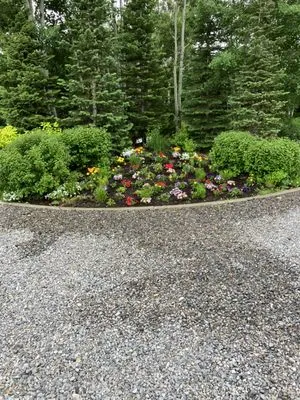 Town & Country Lawn & Landscape