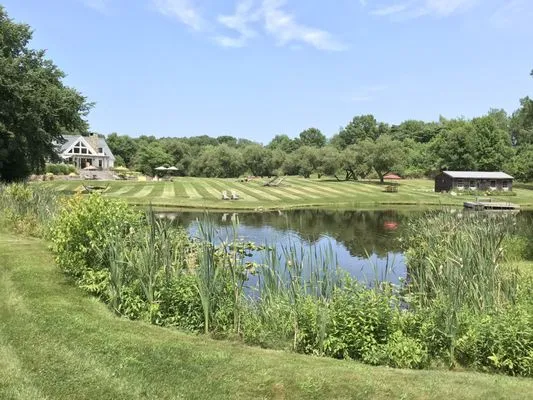 Town & Country Lawn Care