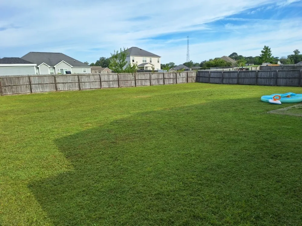 Top-rated landscape design for outdoor upgrades across Beulaville, NC - Town & Country Lawn Services