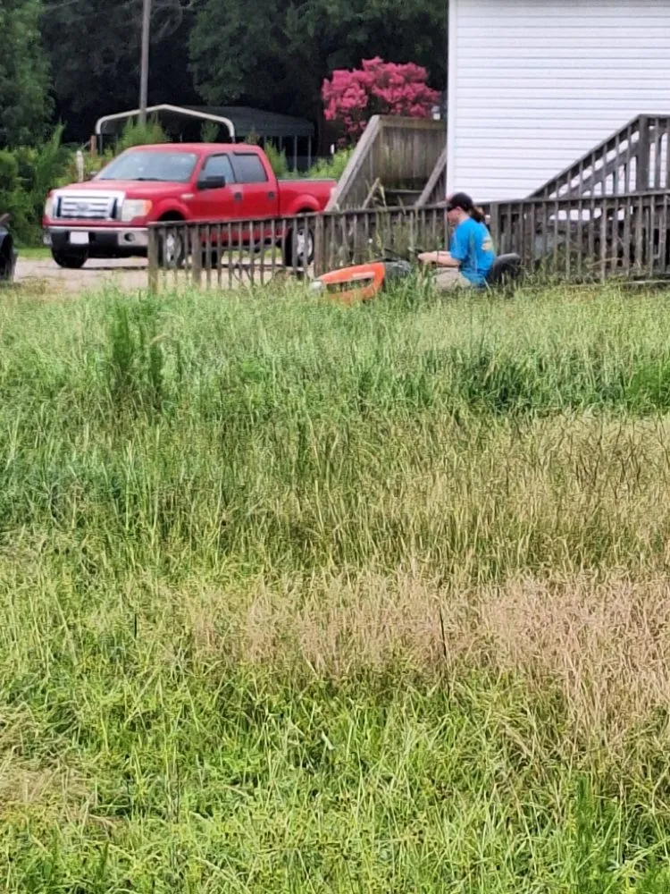 Top-rated outdoor landscaping in Beulaville, NC - Town & Country Lawn Services