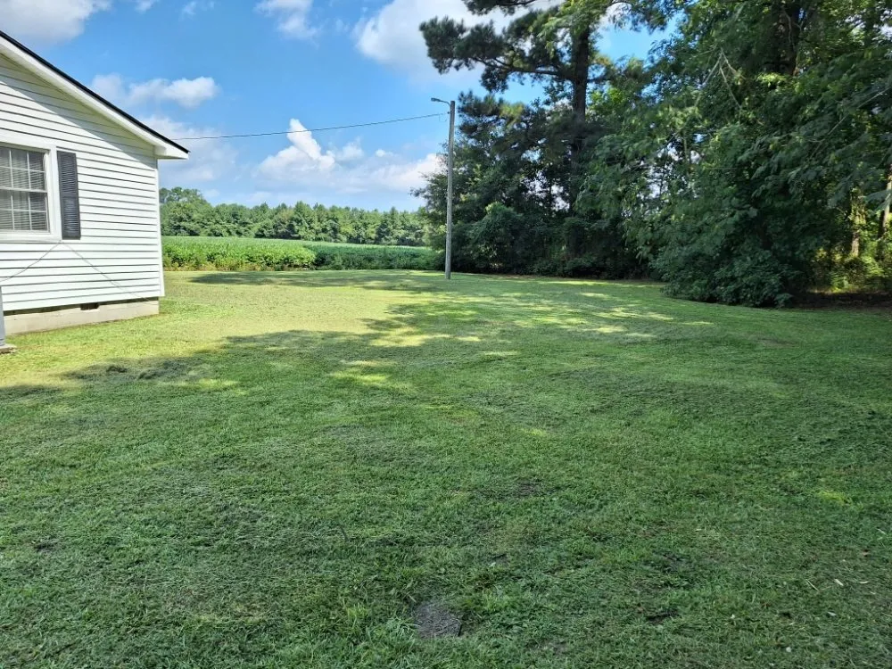 Expert landscape design in Beulaville, NC - Town & Country Lawn Services