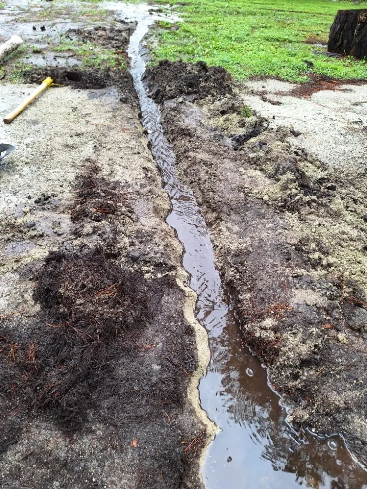 Trusted yard cleanup service for homes across Beulaville, NC - Town & Country Lawn Services