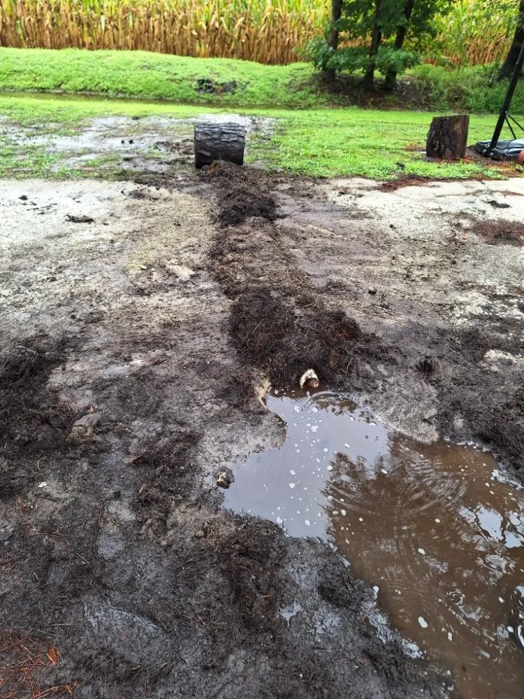 Professional outdoor landscaping for beautiful yards across Beulaville, NC - Town & Country Lawn Services