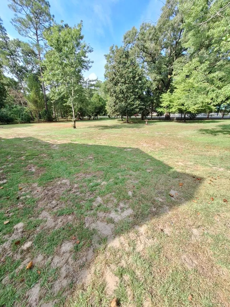 Professional outdoor landscaping in Beulaville, NC - Town & Country Lawn Services