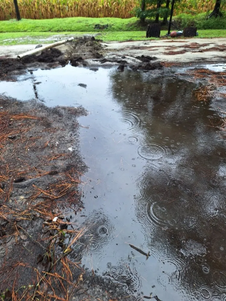 Expert landscaping services experts serving Beulaville, NC - Town & Country Lawn Services