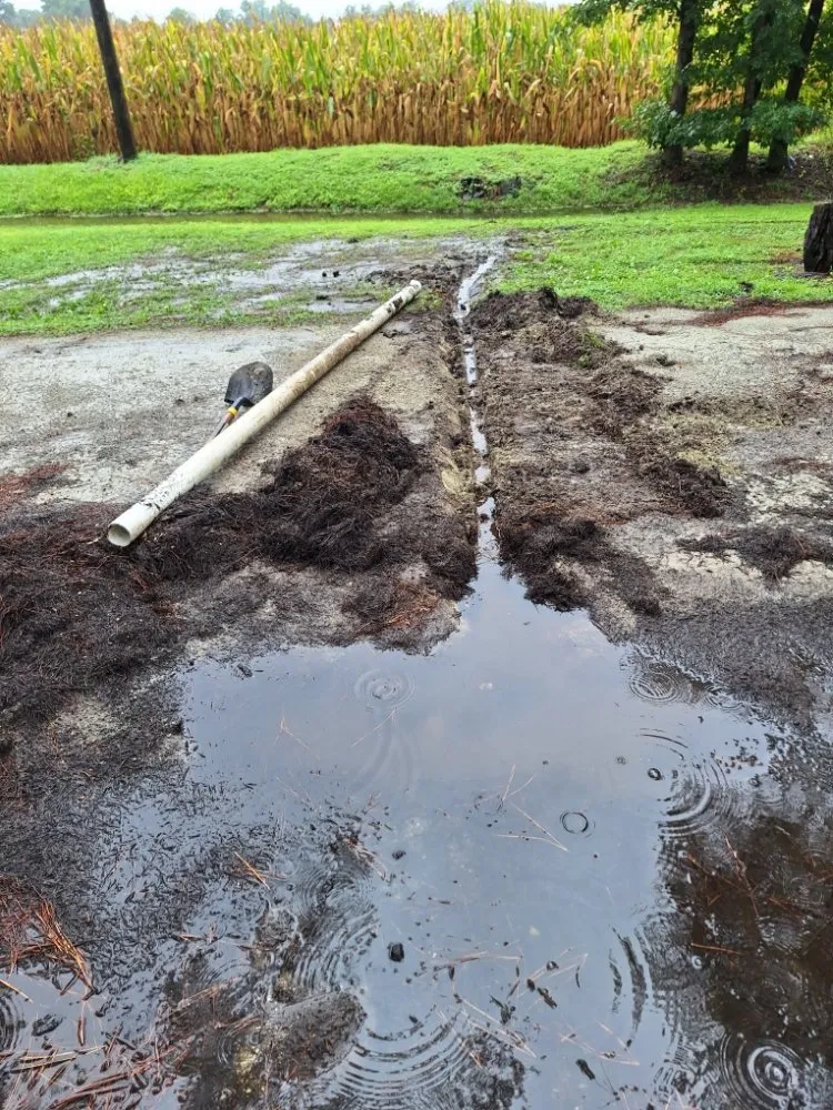 Top-rated residential landscaping experts serving Beulaville, NC - Town & Country Lawn Services