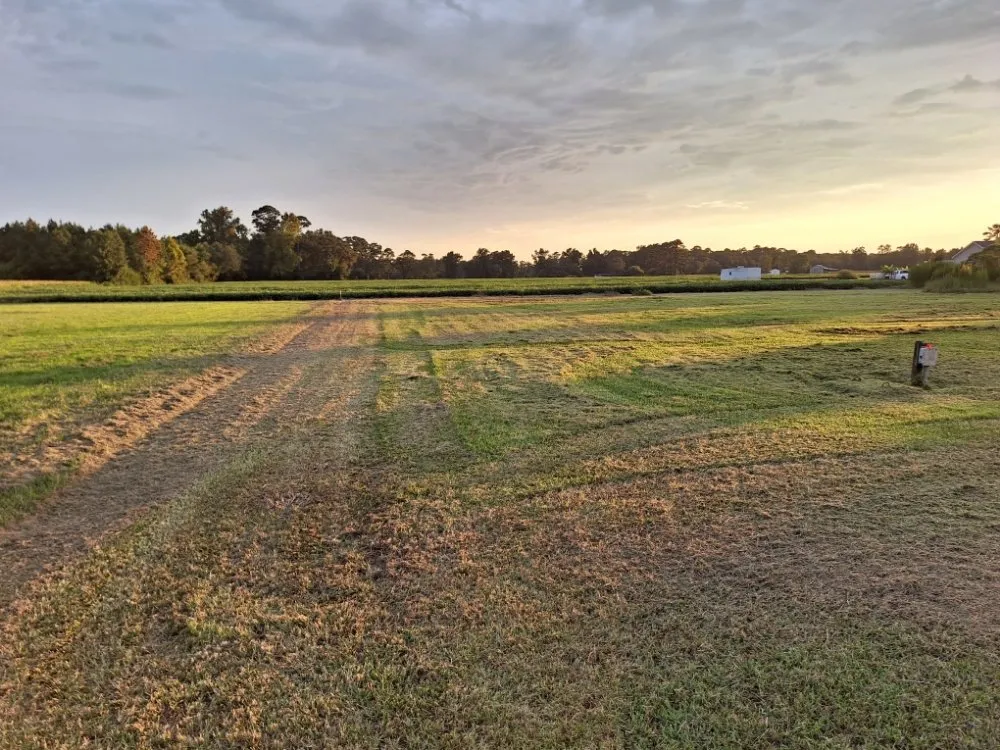 Professional landscape installation experts serving Beulaville, NC - Town & Country Lawn Services