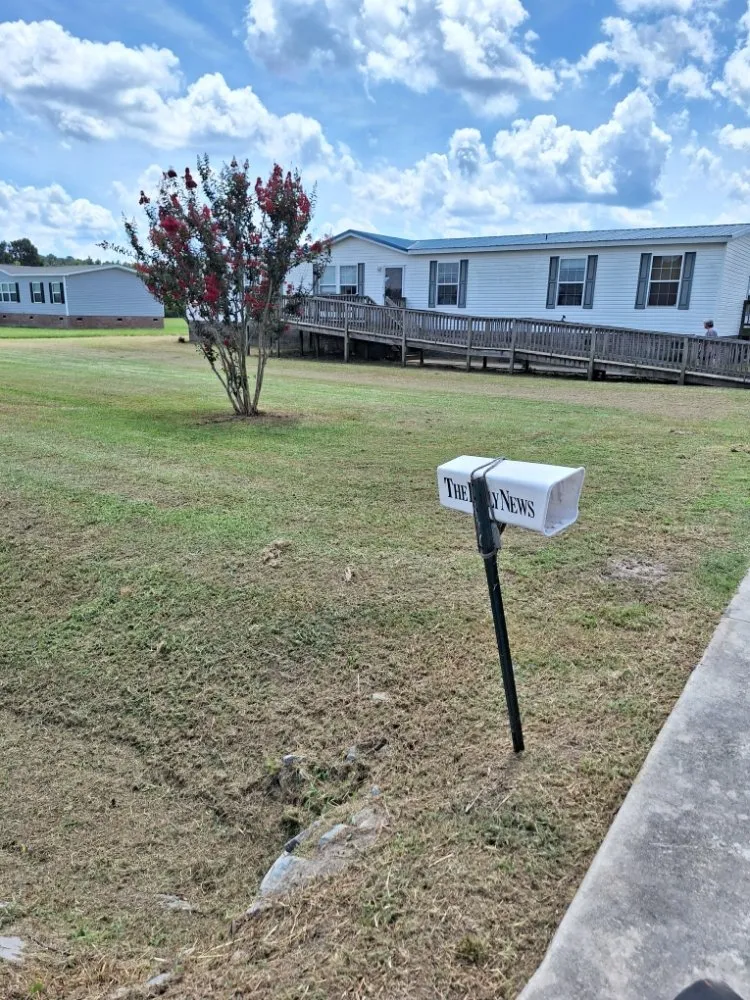 Affordable landscape design in Beulaville, NC - Town & Country Lawn Services