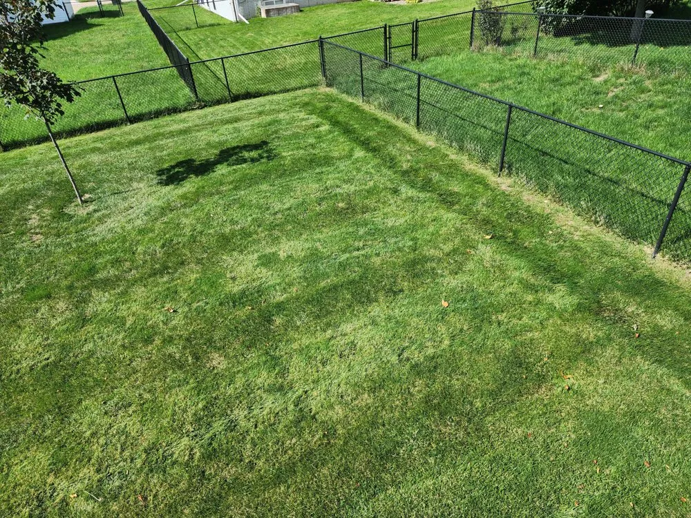 Custom landscaping services for beautiful yards across Clinton, IA - Town & Country Mowing