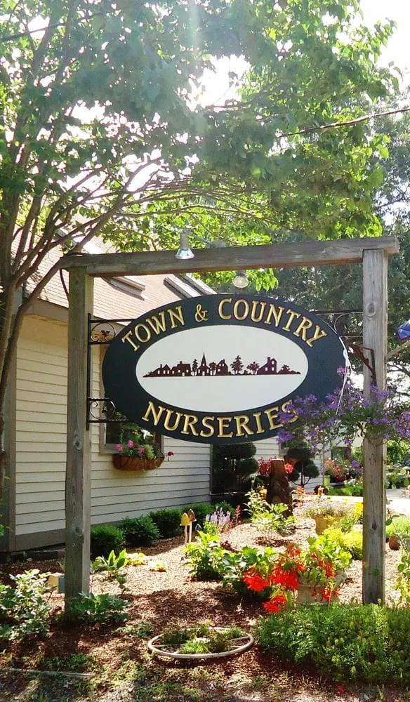 Trusted yard cleanup service experts serving Haddam, CT - Town & Country Nursery