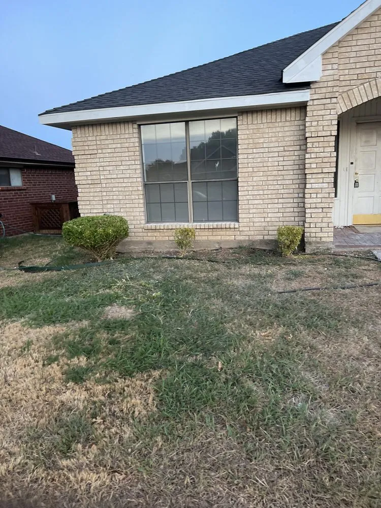 Trusted outdoor landscaping for year-round maintenance in Seagoville, TX by Town & Country Tree and Lawn Services