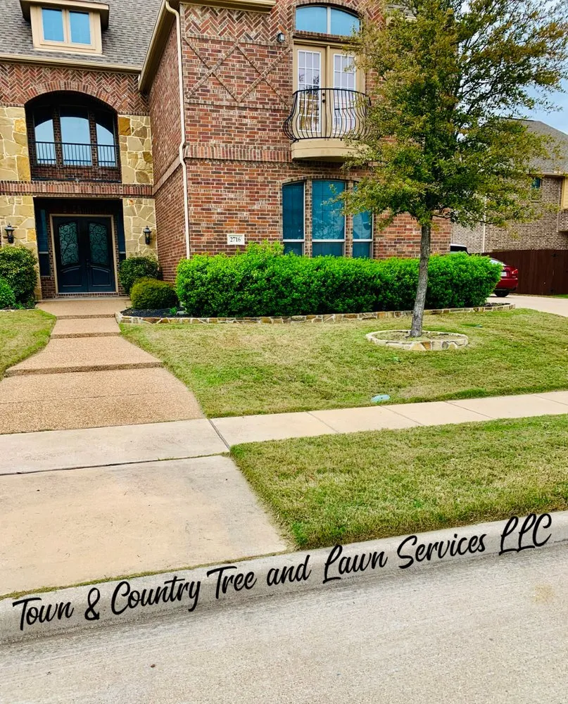 Top-rated lawn mowing service experts serving Seagoville, TX - Town & Country Tree and Lawn Services