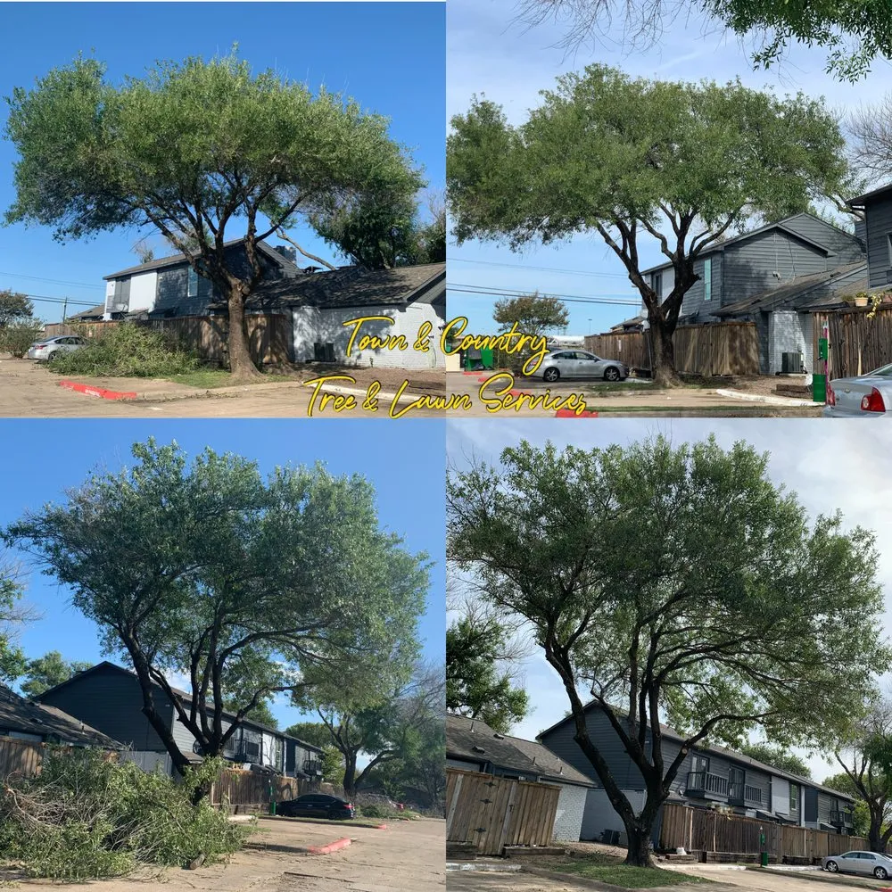 Reliable landscape installation for outdoor upgrades across Seagoville, TX - Town & Country Tree and Lawn Services