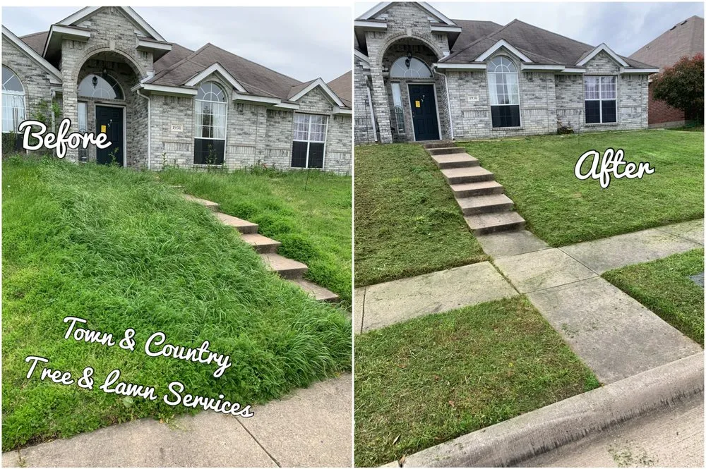 Custom yard cleanup service in Seagoville, TX - Town & Country Tree and Lawn Services