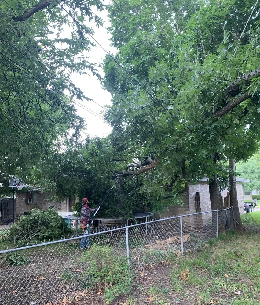 Trusted outdoor landscaping for outdoor upgrades in Seagoville, TX by Town & Country Tree and Lawn Services