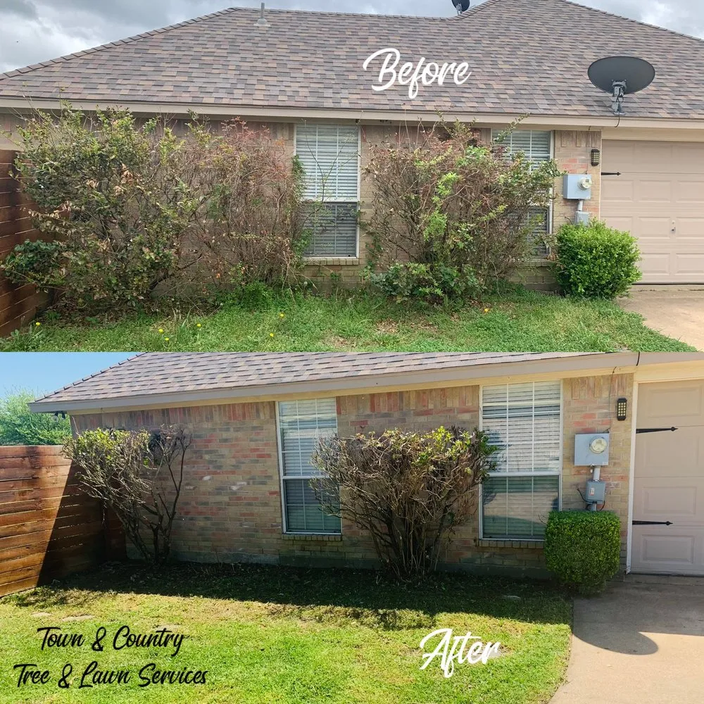 Trusted yard cleanup service in Seagoville, TX - Town & Country Tree and Lawn Services