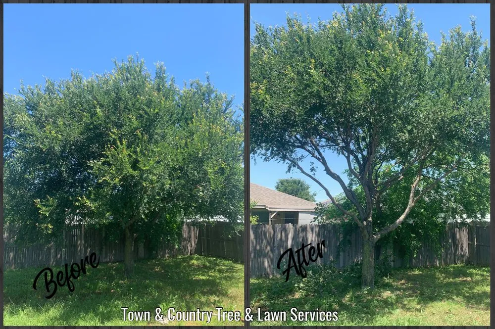 Top-rated yard cleanup service in Seagoville, TX - Town & Country Tree and Lawn Services