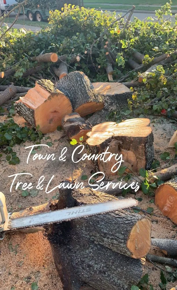 Reliable yard cleanup service in Seagoville, TX by Town & Country Tree and Lawn Services